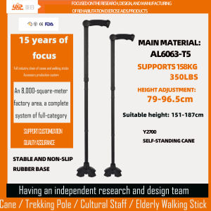 Custom Aluminum Alloy Self-Standing Cane